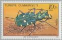 Green Tiger Beetle (Cicindela campestris)