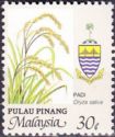 Agricultural Products - Oryza sativa