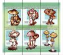 Mushrooms