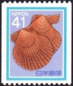 Noble Scallop (Chlamys Nobilis)
