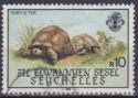 Aldabra Giant Tortoise (Aldabrachelys gigantea)