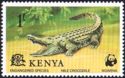 Nile Crocodile (Crocodylus niloticus)