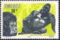 Mountain Gorilla (Gorilla beringei beringei)