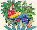 Scarlet Macaw (Ara macao)