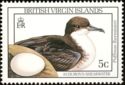 Audubon's Shearwater (Puffinus lherminieri)