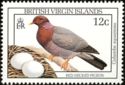 Red-necked Pigeon (Columba squamosa)