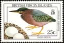 Green Heron (Butorides virescens)