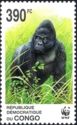 Eastern Lowland Gorilla (Gorilla gorilla graueri)