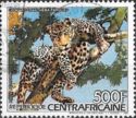 Leopard (Panthera pardus)