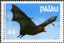 Palau Fruit Bat (Pteropus pelewensis)