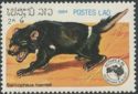 Tasmanian Devil (Sarcophilus harrisii)