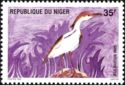 Western Cattle Egret (Bubulcus ibis)