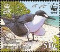 Sooty Tern (Sterna fuscata)