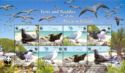 Terns and Noddies of the Pitcairn Islands