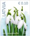 White Snowdrop (Galanthus nivalis)