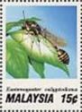 Hover Wasp (Eustenogaster calyptodoma)