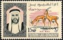 Slender-horned Gazelle (Gazella leptoceros), Sheik