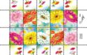 Gerberas - Special sheet