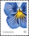 Delta Premium Pansy - from booklet