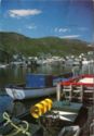 Petty Harbour–Maddox Cove