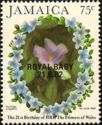 Saxifraga longifolia overprinted ROYAL BABY 21.6.82