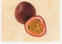Passion Fruit