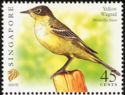 Yellow Wagtail (Motacilla flava) Imprint 2007D
