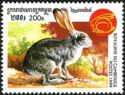 Rabbit (Family Leporidae)