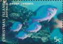Four Ambon Chromis (Chromis amboinensis)