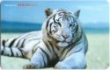 White Tiger