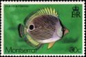 Four Eye Butterflyfish (Chaetodon capistratus)