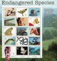 Endangered Species - Block of 15