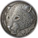5,000 CFA Francs (Baby Smilodon. 4 Oz)
