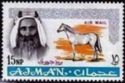Sheik Rashid and Arabian Horse (Equus ferus caballus)