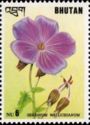 Geranium wallichianum