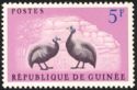 Helmeted Guineafowl (Numida meleagris)