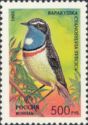 Bluethroat (Cyanosylvia svecica)