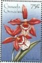 Odontoglossum