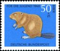 Eurasian Beaver (Castor fiber)