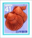 Noble Scallop (Chlamys Nobilis)