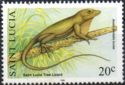 Saint Lucia Tree Lizard (Anolis luciae)