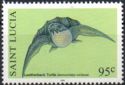 Leatherback Turtle (Dermochelys coriacea)