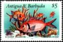 Blackbar Soldierfish (Myripristis jacobus)