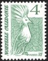 Kagu (Rhynochetos jubatus)
