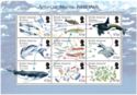Antarctic Marine Food Web