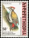 Golden-backed Woodpecker (Dendropicos abyssinicus)