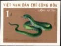 Common Green Pit Viper (Trimeresurus grumineus)