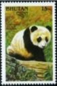 Giant Panda (Ailuropoda melanoleuca)