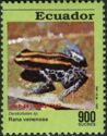 Poison Dart Frog (Dendrobates sp.)