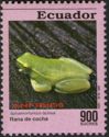 Orinoco Lime Tree Frog (Sphaenorhynchus lacteus)